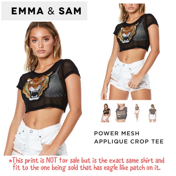NWOT Emma & Sam Power Mesh Appliqué Crop Tee - Picture 3 of 8